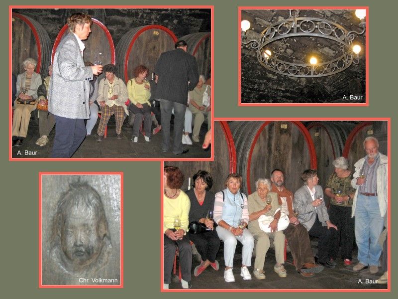 Weinprobe im Keller Bild 2 Weinprobe im Keller Bild 2